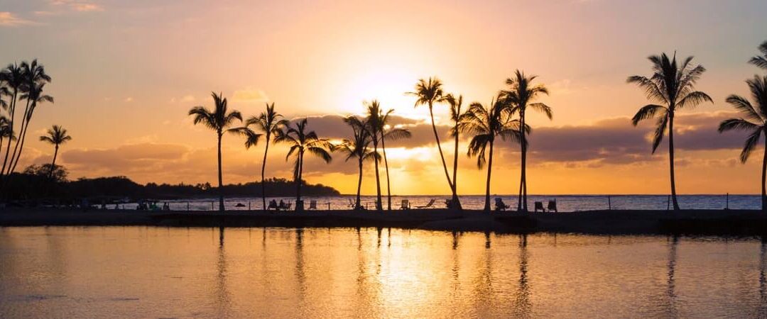 DK_Slider_3_Testimonial