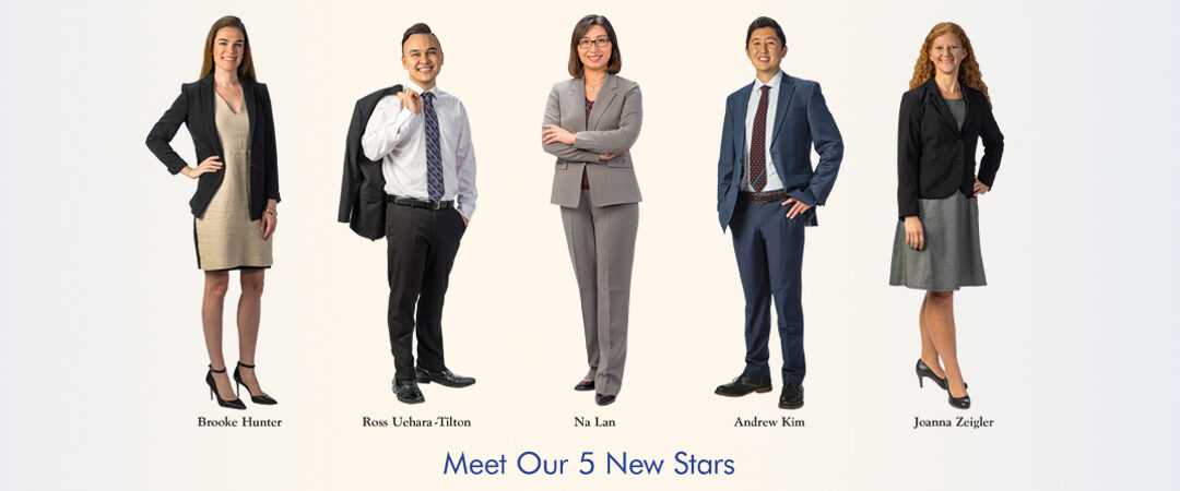 Meet our 5 New Stars